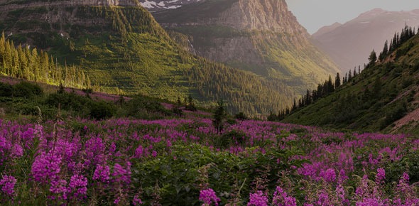 homebanner-2026-summer-590x290-WOMEN